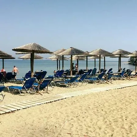 Roses Дом отдыха *